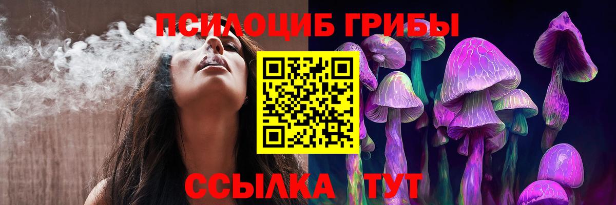 Псилоцибиновые грибы прущие грибы Канск